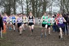 Mens under-17s Inter Counties Cross Country, Prestwold Hall, Loughborough. Photo: David T. Hewitson/Sports for All Pics